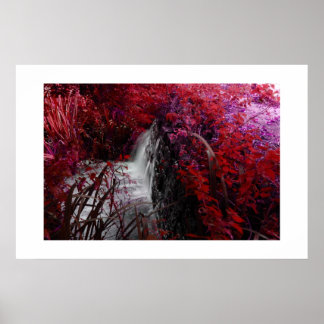 Magenta Poster