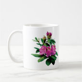 Magenta Rhododendronswith Buds Kaffeetasse (Links)