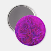 Magenta Rose Puff Magnet (Vorderseite/Rückseite)