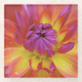 Magenta und Gelbe Blume Glasuntersetzer