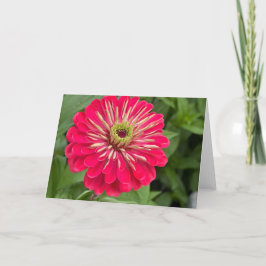 Magenta Zinnia Blank Note Card Dankeskarte