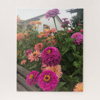 Magenta-Zinnie im Garten, San Mateo Puzzle