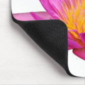 Magentarote Wasserlilie 2 Mousepad (Ecke)