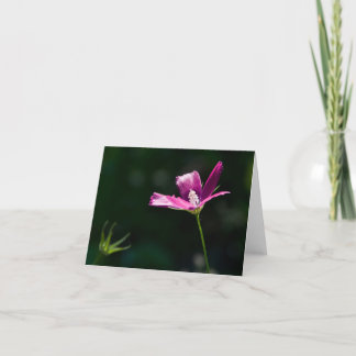 Magentarote Wildblume Notecard Karte