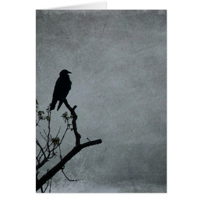 Magestic Crow (Vorne)