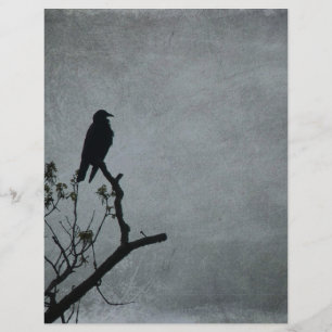 Magestic Crow