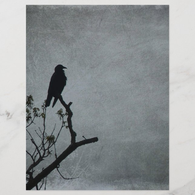 Magestic Crow (Vorderseite)