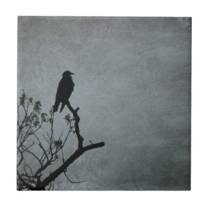 Magestic Crow Fliese