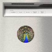 Magestic Peacock Magnet (In Situ (Geschirrspüler))