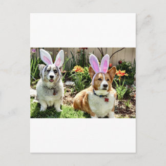 Maggie & Chuck Postkarte