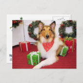 Maggie - Collie - Donohoo Postkarte (Vorne/Hinten)