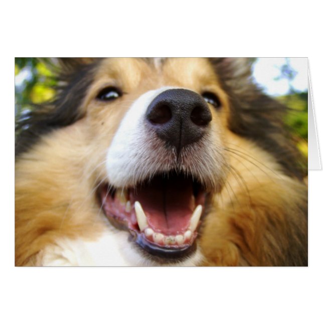 Maggie Karte (Vorderseite (Horizontal))