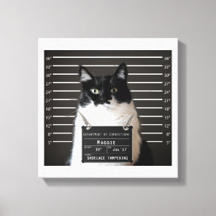 Maggie Katzen-Tassen-Schuss Leinwanddruck