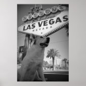 Maggie - Las Vegas-Zeichen Poster (Vorne)