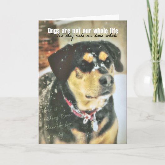 MAGGIE MAE Grußkarte Dankeskarte (Vorderseite)