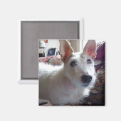 Maggie Mae Magnet (Vorderseite/Rückseite)