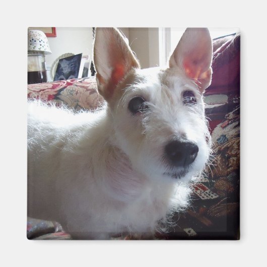 Maggie Mae Magnet (Vorne)