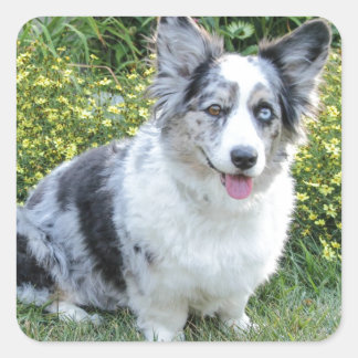 Maggie Mine Quadratischer Aufkleber