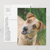 Maggie Postkarte (Vorne/Hinten)
