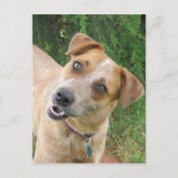 Maggie