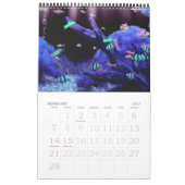 Magic Blue 2011 Kalender (Feb 2027)