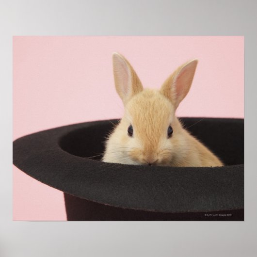 Magic Bunny Poster (Vorne)