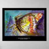 MAGIC BUTTERFLY 2 POSTER (Vorne)