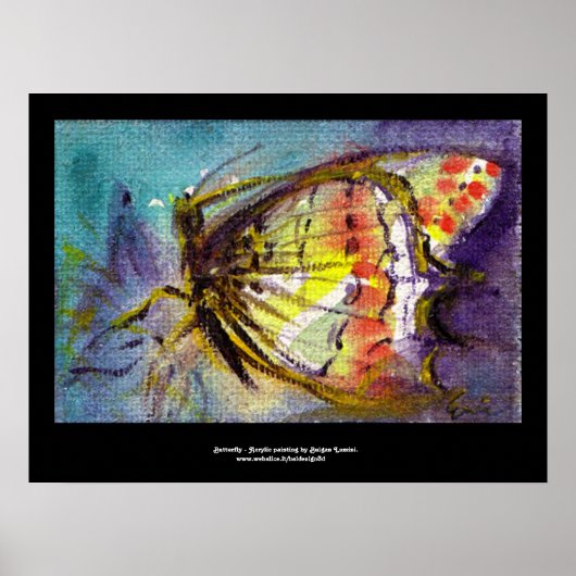 MAGIC BUTTERFLY 2 POSTER (Vorne)