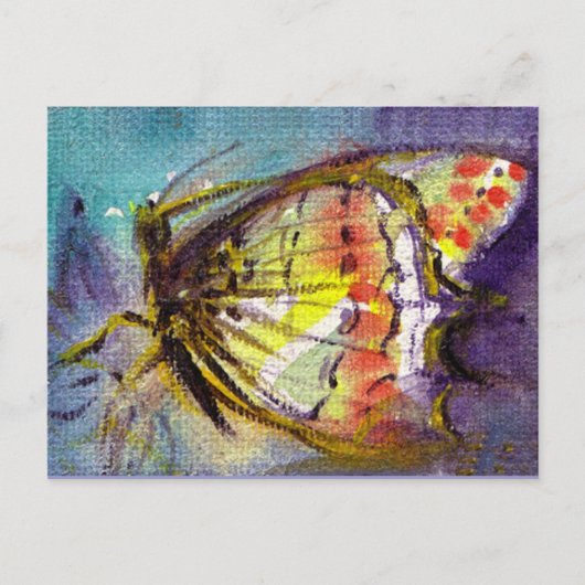 MAGIC BUTTERFLY POSTKARTE (Vorderseite)