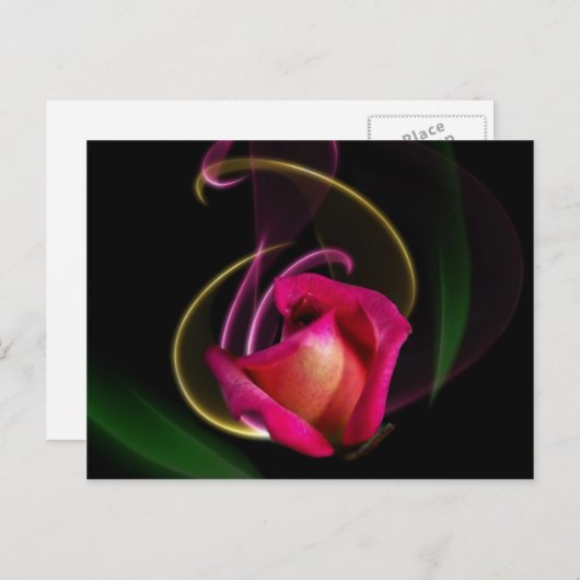 Magic Carousel Rose Postcards Postkarte (Vorne/Hinten)
