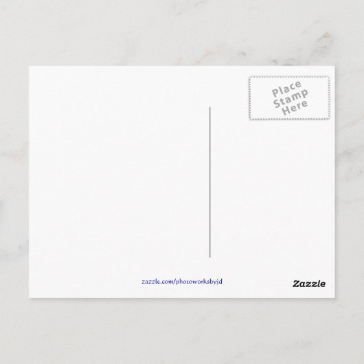 Magic Carousel Rose Postcards Postkarte (Rückseite)