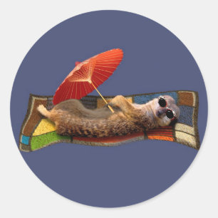 Magic Carpet Ride Sticker