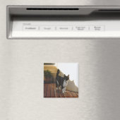 Magic Cat - Individuell Magnet (In Situ (Geschirrspüler))