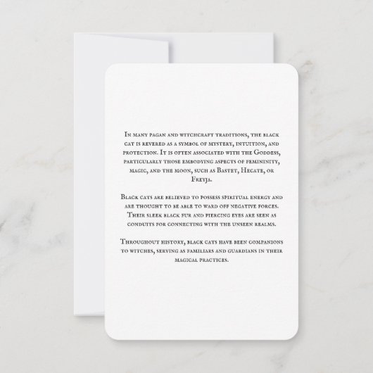 Magic Cat Information Card Einladung (Rückseite)