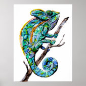 Magic Chameleon Poster (Vorne)