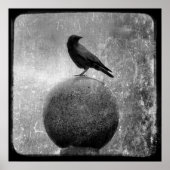 Magic Crow Poster (Vorne)