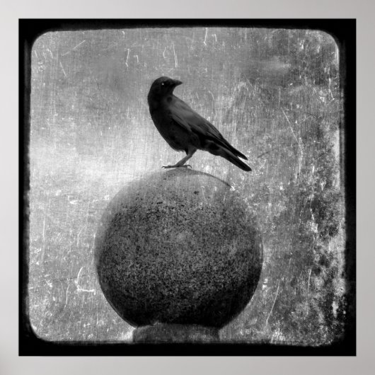 Magic Crow Poster (Vorne)