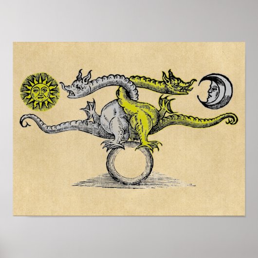Magic Gold & Silver Dragons Poster (Vorne)