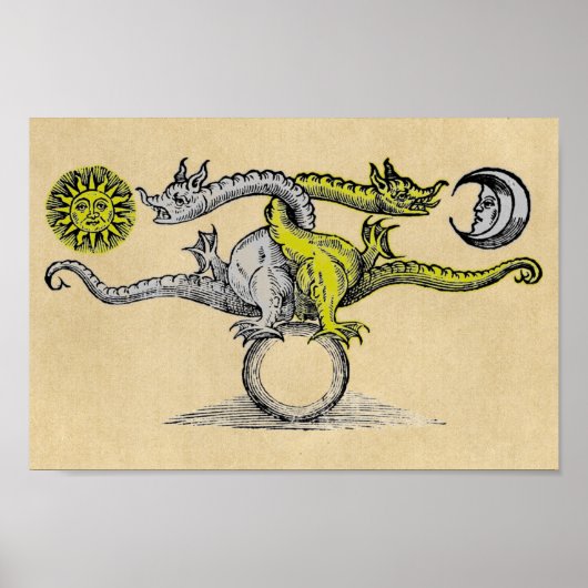 Magic Gold & Silver Dragons Poster (Vorne)