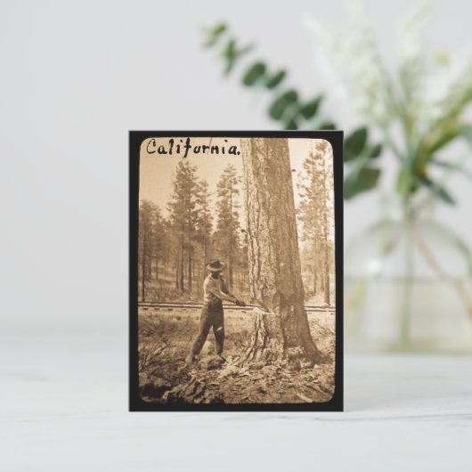 Magic Lantern Logging in the Butte Valley, CA Postkarte (Stehend Vorderseite)