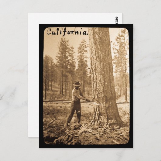 Magic Lantern Logging in the Butte Valley, CA Postkarte (Vorne/Hinten)