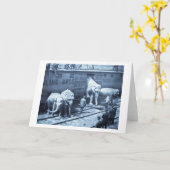 Magic Lantern Slide Ringling Bros Elephant Train Karte (Gelbe Blume)