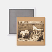Magic Lantern Slide Ringling Bros Elephant Train Magnet (Vorderseite/Rückseite)