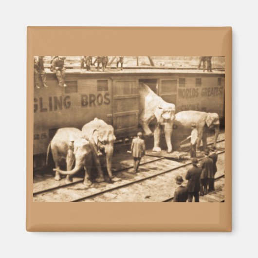 Magic Lantern Slide Ringling Bros Elephant Train Magnet (Vorne)