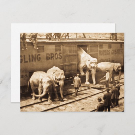 Magic Lantern Slide Ringling Bros Elephant Train Postkarte (Vorne/Hinten)