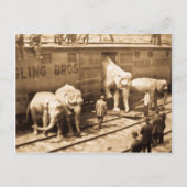 Magic Lantern Slide Ringling Bros Elephant Train Postkarte (Vorderseite)