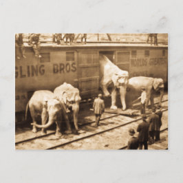 Magic Lantern Slide Ringling Bros Elephant Train Postkarte