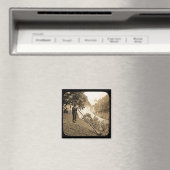 Magic Lantern Slide Schweizer Alpen Hornblume Magnet (In Situ (Geschirrspüler))