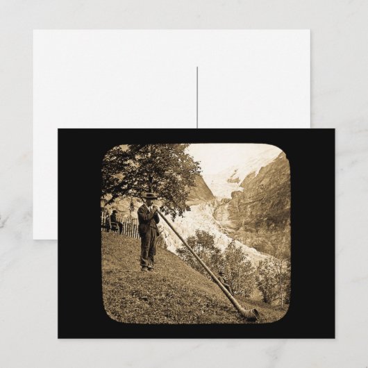 Magic Lantern Slide Schweizer Alpen Hornblume Postkarte (Vorne/Hinten)