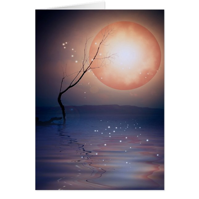 magic-moon.png (Vorne)